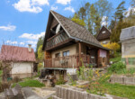 DSC05331